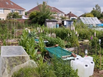 Allotments Melksham