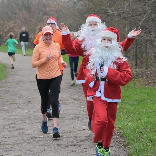 53536506306_29e74cf609_c