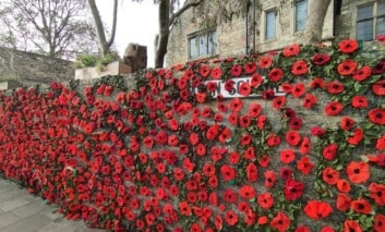 Poppies hung on the wall in Canon Square for Remembrance Day