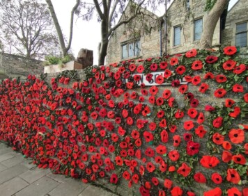 Poppies hung on the wall in Canon Square for Remembrance Day