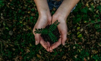 Seedling growing in someone’s hands